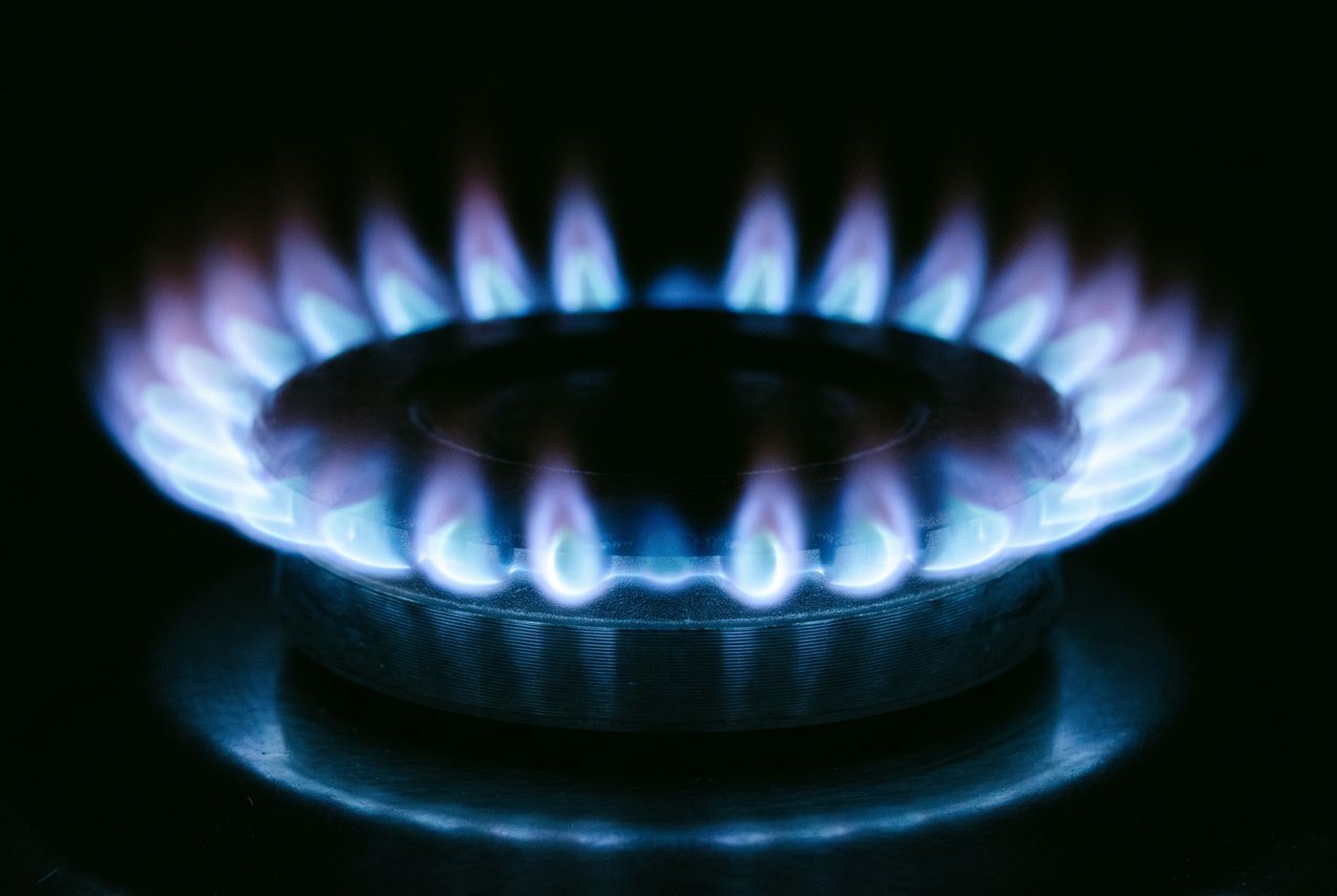 Blue gas flames on a burner ring